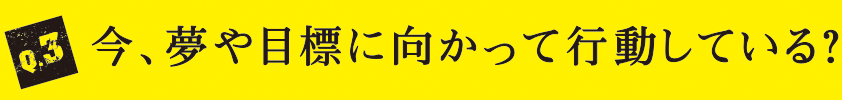 Q3 今、夢や目標に向かって行動している？