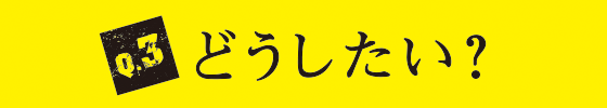 Q3 どうしたい？